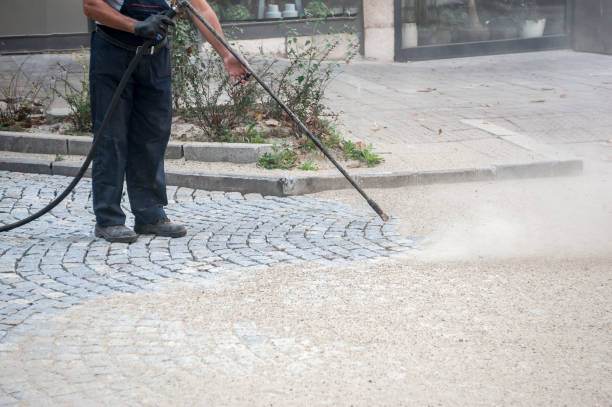 Best Boat and Dock Cleaning  in Dousman, WI