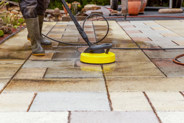 Best Winterizing Services  in Dousman, WI