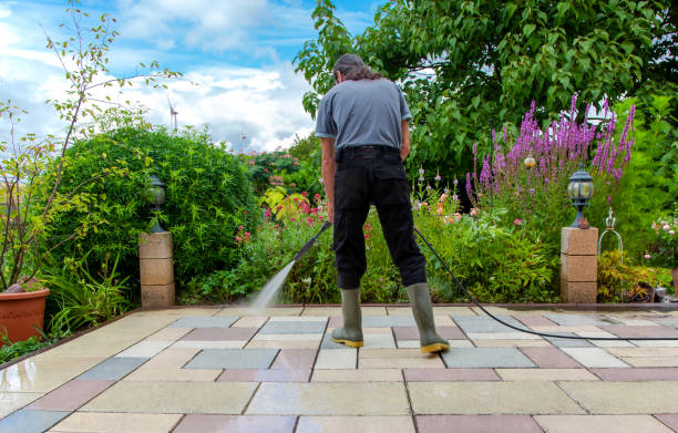 Best Driveway Pressure Washing  in Dousman, WI
