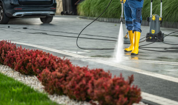 Best Soft Washing  in Dousman, WI